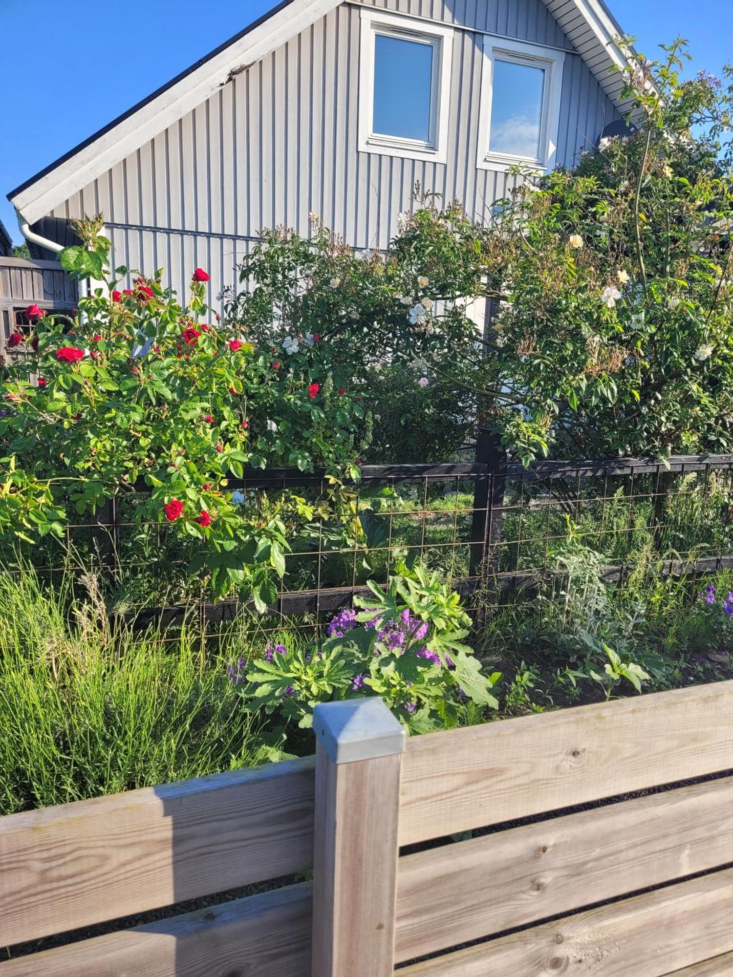 Helgas Stuga I Jonstorp Esterno foto