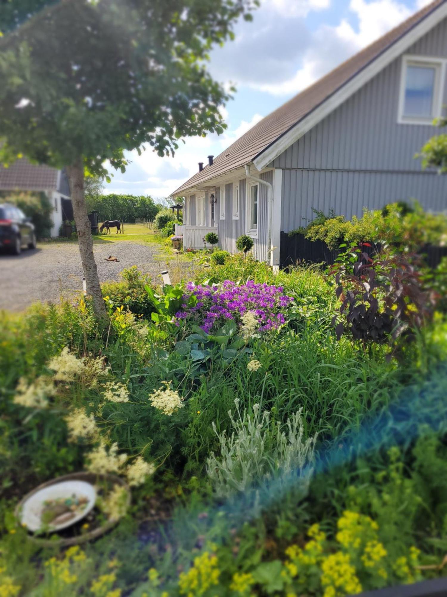 Helgas Stuga I Jonstorp Esterno foto
